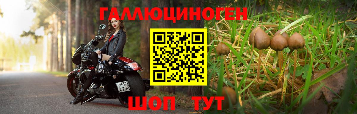 Зима  Псилоцибиновые грибы Psilocybine cubensis  Вход с VPN 