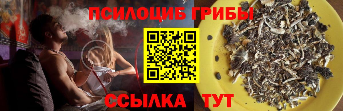 Галлюциногенные грибы MAGIC MUSHROOMS Зима