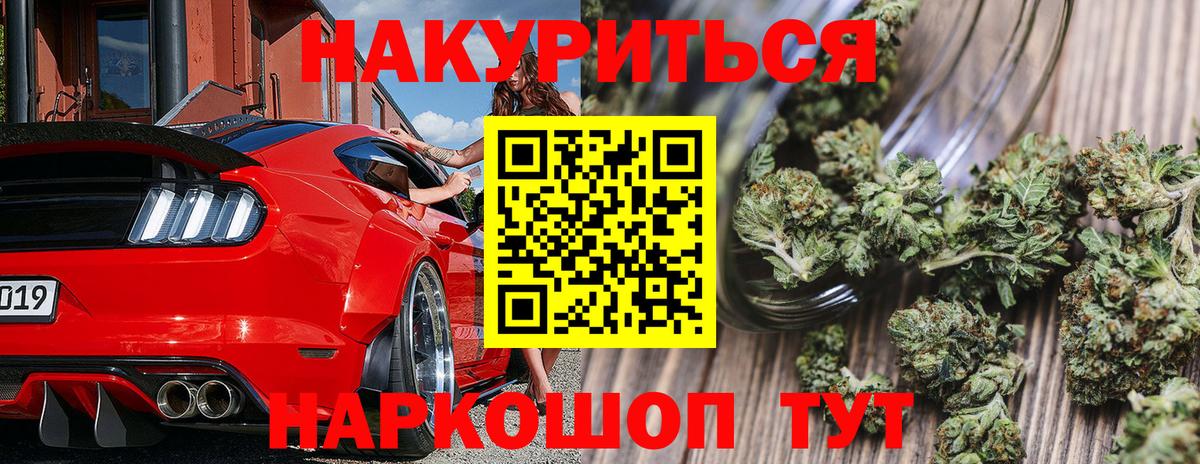 Каннабис OG Kush Зима